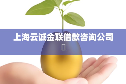 上海云诚金联借款咨询公司​