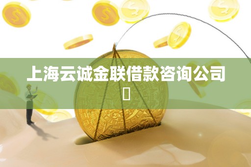 上海云诚金联借款咨询公司​