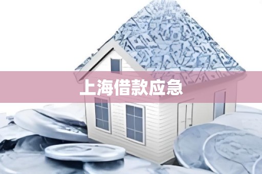 上海借款应急