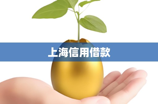 上海信用借款