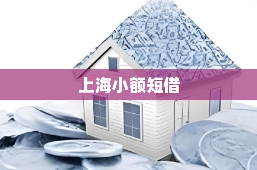 上海小额短借