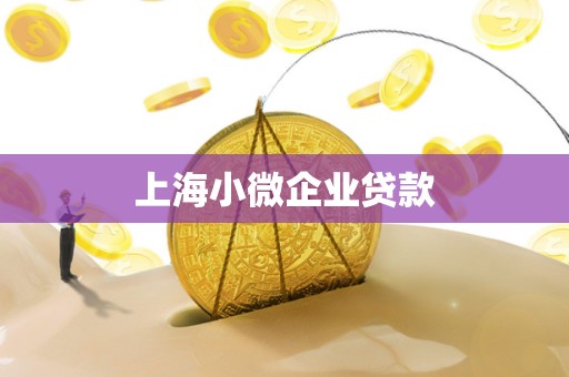 上海小微企业贷款