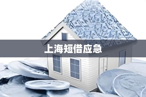 上海短借应急