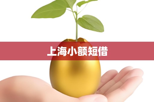 上海小额短借
